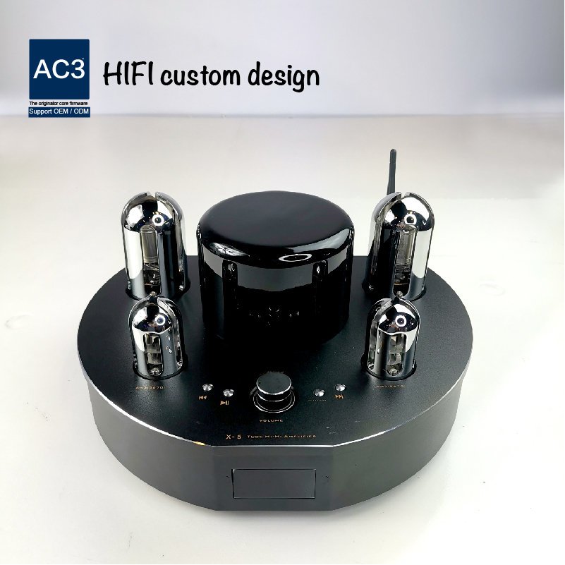 Home Mini Tube Amplifier