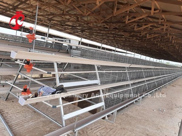 China Factory Battery Layer Cage 5 tier With Poultry Equipment For Africa Market Sandy