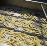 10kw Power Stainless Steel French Fries Processing Machine Equipment for 900 KG