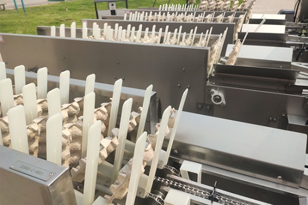 Egg Washing Grading Packing Machine Durable Large-Scale for Farm Processing Equipment