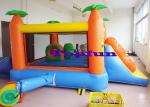 Cartoon Themed Commercial Bounce Houses With Net Door and Slide