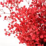 Home Decorations Beautiful Dried Flowers Gypsophila Long Term Storage