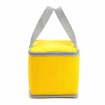 Pantone Insulated Cooler Bags Reusable With Aluminum Film