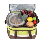 Various Styles Insulated Cooler Bags Oxford Material 29x22x24 Cm Size
