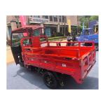 400-500kg Curb Weight Open Body Type Adult Gasoline Motor 3 Wheel Tunisia Cargo