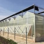 Multi-Span Agricultural Greenhouses for Sustainable Fruits and Vegetables