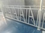 Hot Dip Galvanized Steel Pipe Cattle Headlock Feeder Panels 10FT-14FT Size