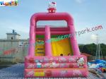 Cute Cat Commercial Inflatable Slide , Childrens Small Dry Slide Slip Inflatable
