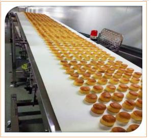 China White Food Grade Pu Conveyor Belt Oil Resistant For Garment Shops wholesale