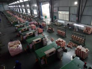 China One Core Wire And Cable Machinery Flxible Copper Wire Extrusion Machine wholesale