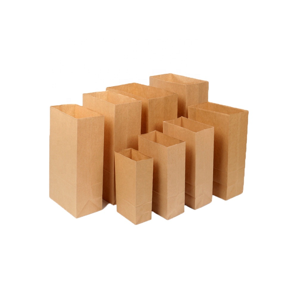 Flower Store Bulk Paper Sacks Brown Kraft Paper Bags With Ribbon Handle