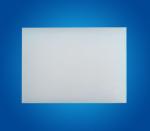 Pure White PCTFE Material For Valve Seats , 40mm Thickness Chemical Resistance