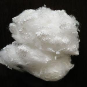China 7D Hollow Conjugated Polyester Staple Fiber 32mm PET Staple Fiber wholesale