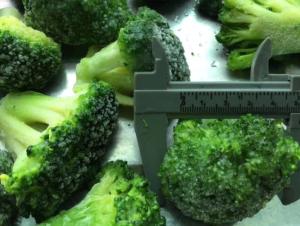 China Healthy IQF Frozen Vegetables , Organic Individual Quick Freezing Broccoli wholesale