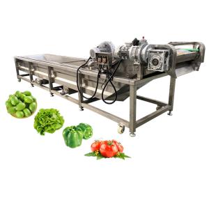 China Food Shop Industrial Air Bubble Fruit Vegetable Washer for Washing Fruits Vegetables wholesale