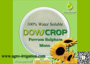 China DOWCROP HIGH QUALITY 100% WATER SOLUBLE MONO SULPHATE FERROUS 30% LIGHT GREEN POWDER MICRO NUTRIENTS FERTILIZER wholesale