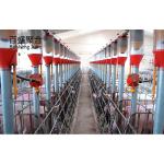 Long Span Steel Structure Pig Shed for Agricultural Piggery House Construction