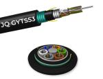 HOT SALE 2 4 6 96 144 CORES ARMORED OPTICAL FIBER CABLE GYTA GYTS GYTS53 GYXTW