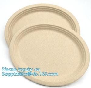 China biodegradable tableware 5 compartment sugarcane tray,100% Biodegradable Disposable Sugarcane Paper Raw Material Composta wholesale