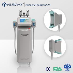 China Freezing Cryolipolysis Machine with rf and cavitation wholesale