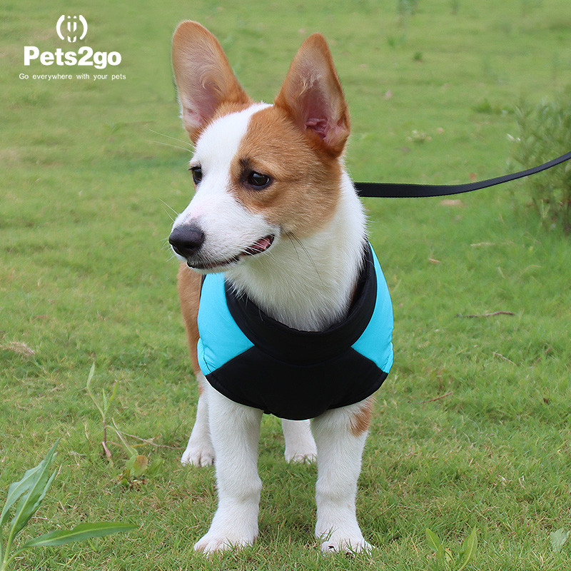 Water Resistant Winter Jacket 46cm Pets Wearing Clothes