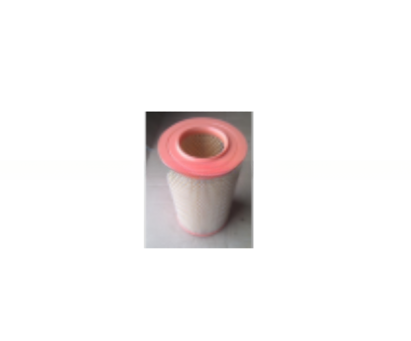 Air Filter for Peugeot/Citroen 1444.84 1444.A0 C17278 1310636080 C1480 1444.A5 1444.A6 9650367680 9650366480 1444 EZ