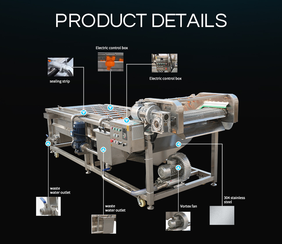 Versatile Automatic Vegetable and Fruit Bubble Cleaning Machine with Custom Options