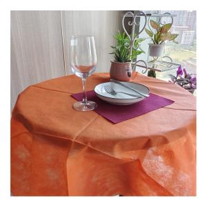 China Nonwoven Coloring Kids Camp Garden Tablecloth For Home / Party / Wedding wholesale