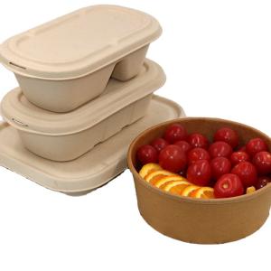 China Eco Food Packaging Biodegradable Takeaway Boxes Compostable Disposable Food Container wholesale