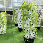 65L Water Capacity 10 Layers 80 Plant Holes Hydroponic Grow Tower System for