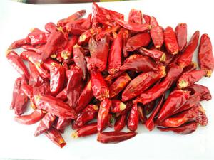 China In Vitamin C Red Jinta Chilli Pepper wholesale