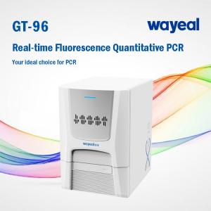 China Wayeal Clinical Medical Real Time Pcr Analyzer For Nucleic Acids Testing wholesale