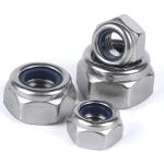 Stainless Steel Din985 Din982 Nylon Lock Nuts Hex Self Lock Nuts