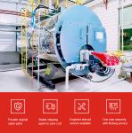 WNS 10 Ton 10tph Gas Diesel Fuel Steam Boiler For Beverage Factory