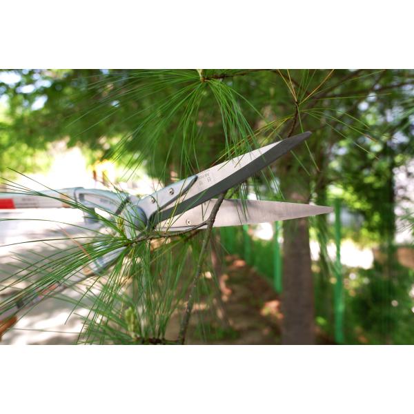 Rose Handle Plant Cutting Pruning Shears Long Handle Extendable Lever Hedge Yard