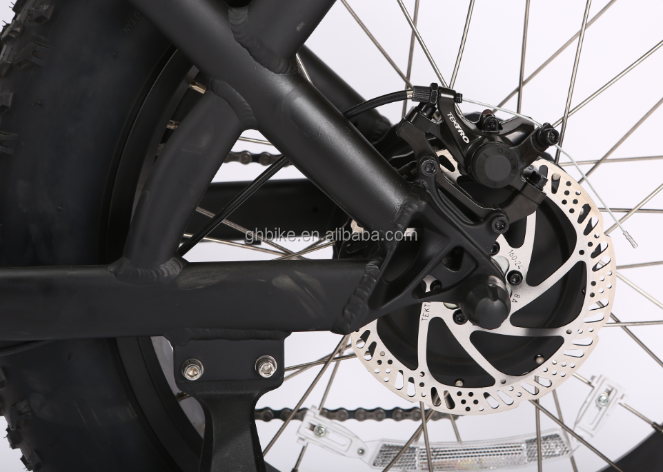 20" 500W 48V13AH OEM/ODM EN15194 Disc Brake Electric Bike for Small Kids' Outdoor Fun