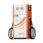 Bernet Brand Factory Price Electronic Calibration 2 Nozzle Petrol Station Fuel