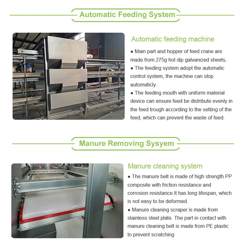 Fully Automatic 4-Tier H-Type Battery Cage with Hot-Dip Galvanized Steel for Layer Hens and Broilers
