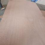 Poplar Hardwood Core Glue E0 18mm Sapele Faced Plywood