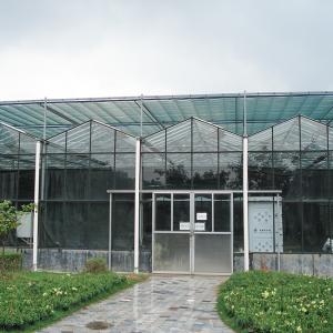 China Advanced Glass Greenhouse For Optimal Light Transmission And Heat Preservation wholesale
