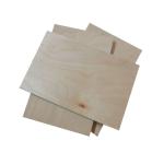Double Sided Decoration E1 15mm 18mm Birch Faced Plywood
