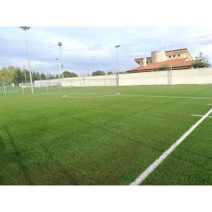 China Synthetic Outdoor Fake Grass Mat 200 Stitches/M For Garden And Balcony wholesale