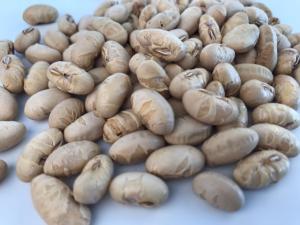 China Sea Salt Flavor Roasted Soya Beans Pure Natural No Additive wholesale