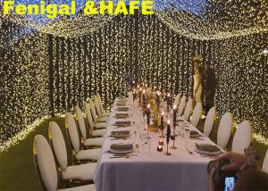 China 3m Party Wedding Lighting Strips IP46 Led Cluster Lights wholesale