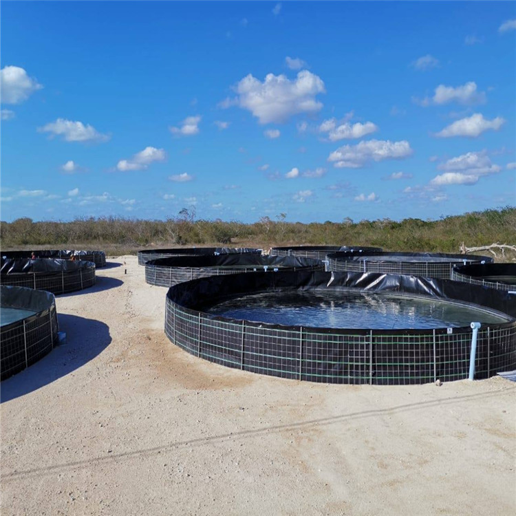 Smooth Textured Surface 1.5mm HDPE Geomembrane for Waterproof Plastic Dam 1.0mm