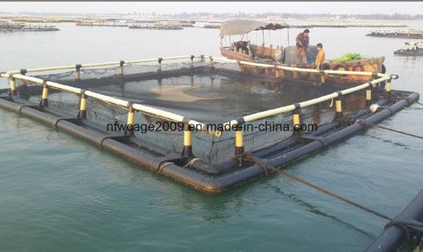 Tilapia Farming Deep Water Aquaculture Cage For 4sq. M To 200sq. M Fish Cages