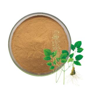 China Pure Natural Epimedium Herb Extract 5%-20% Lcariin Powder Epimedium Leaf Extract on sale