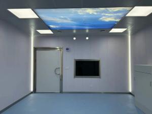 China Customizable Entry RF Shielding Room Hospital Medical DC Mri Shielding wholesale