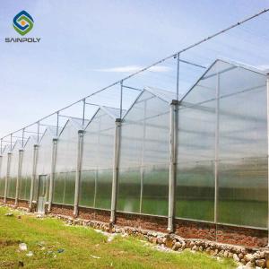 China Exhibition Multi Span Polycarbonate Plastic Greenhouse wholesale