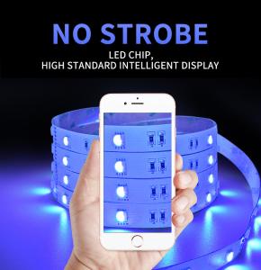 China 5050 RGBW Full Color Flexible Neon Strip Light Waterproof 1m Length Customizated wholesale